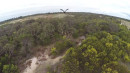 Watch This Eagle Takes Down a Drone!