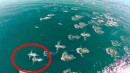 Mermaids Caught on Tape by Drone?