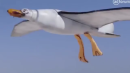Seagull Pooping Drone