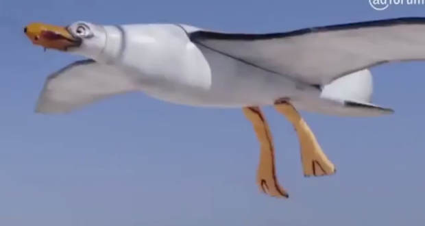 seagull-pooping-drone