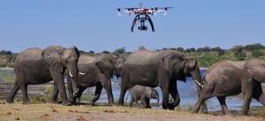 wildlife drones